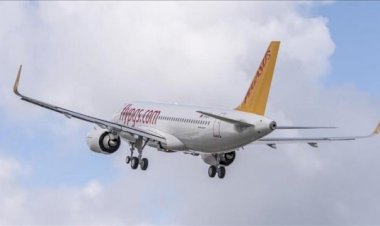 Pegasus, Yurt dDşı Uçuşları