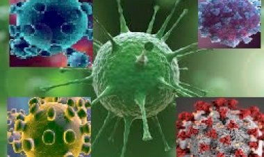 IATA, tüm uçuş yolcuları için hızlı testler istiyor