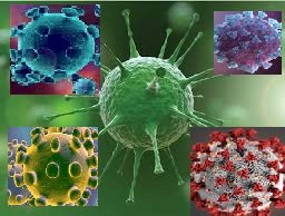 IATA, tüm uçuş yolcuları için hızlı testler istiyor