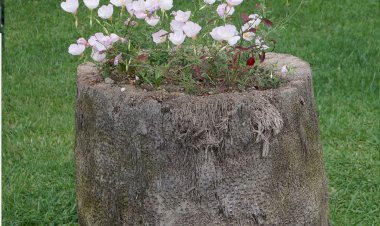 Unutkanlığı Sporla Tedavi Edin