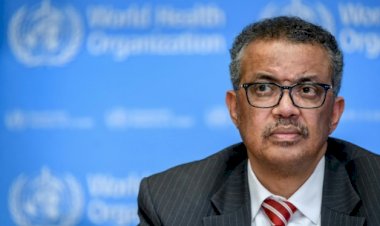 DSÖ şefi korona pozitif  testlerinden sonra karantina teması