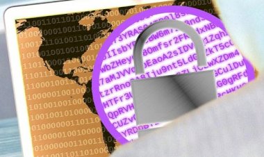 BugBounter web sitelerine ve e-postalarına oltalama uyarısı