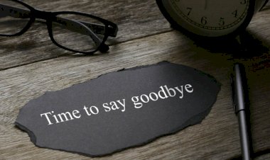 Fox Tours operatör markası tarihe karışacak