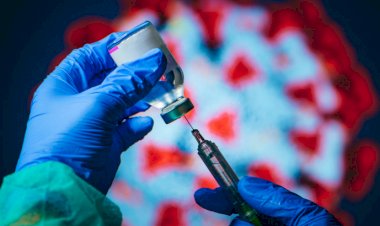 Qantas aşı kanıtı talep etmek istiyor, Lufthansa