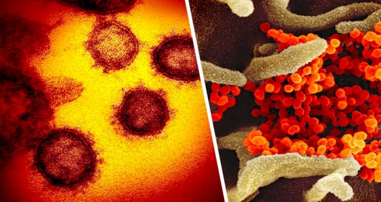 COVID-19 doğum gününü kutladı