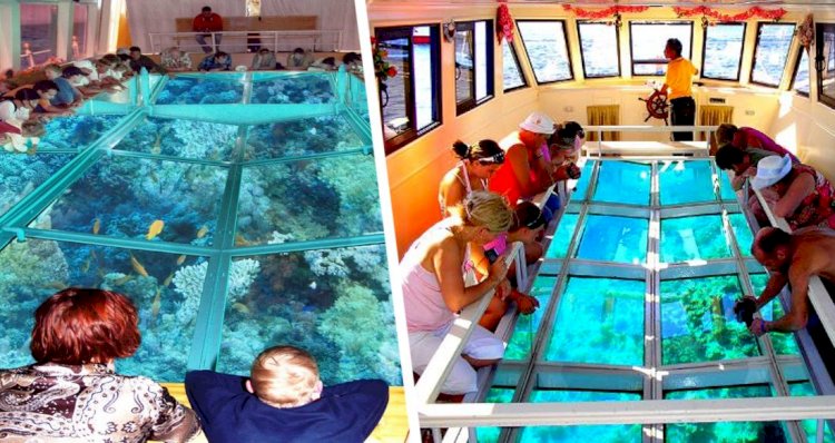 Hurghada turistler için dünyanın en büyük cam tabanına sahip bir tekne yaptı
