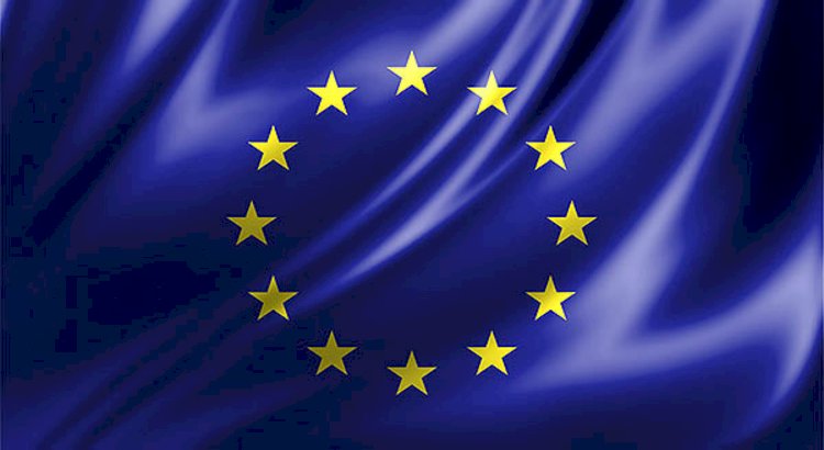 AB Parlamentosu temsili eylemlerin önünü açtı