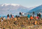 Turizm Yeni Zelanda herkesi hayal kırıklıklarını Umut Ormanına dönüştürmeye davet ediyor