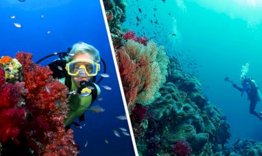 Mısır'daki turistler için dalış seansları devam ediyor