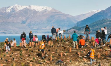 Turizm Yeni Zelanda herkesi hayal kırıklıklarını Umut Ormanına dönüştürmeye davet ediyor
