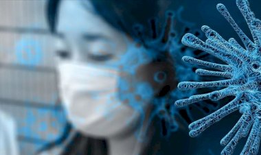 COVID-19 hayvan-insan-ekosistemler arayüzünde önlenebilir hastalıklarla mücadele etmek için Tek Sağlık yaklaşımı için sürücüyü yeniden ateşler