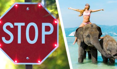 Sri Lanka'ya ilk Rus turist grubunun gelişi iptal edildi