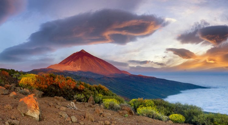 Tenerife seyahat uyarısı tehdit için günah keçisi olur