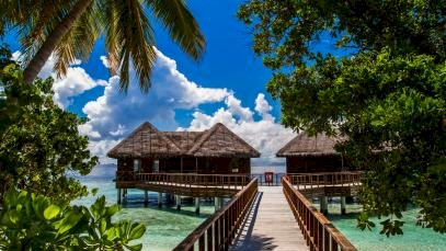 Yürütme Eğitim Programı Kırsal Kalkınma ve Kurtarma Odağı