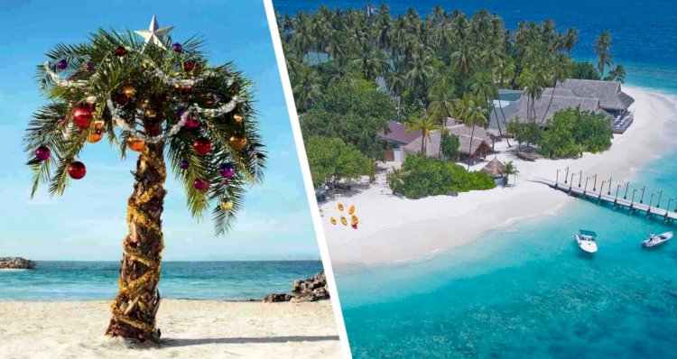 Tanzanya kurşun patlak Rus turistler zanzibar yeni yılı kutlamak için başarısız oldu
