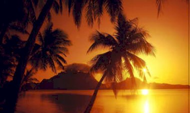 Yüz Yılın virüsü 2020 de Etkileri ve Tepkileri