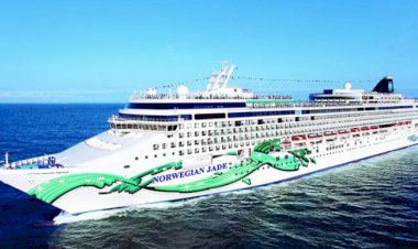 Temmuz Ayından İtibaren NCL Sadece Aşı Olmak İstiyor