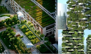 BM Şehirleri İklim Eylemine ve Sürdürülebilir Kalkınmaya Çağırıyor