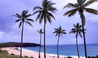 Hawaii Valisi zorunlu maske kurallarını kaldırmamaya karar verdi