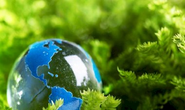 Booking HD Karbon Dengeleme ve Sürdürülebilirlik