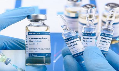 WTTC, Küresel Aşı Tanıma Gecikmesini Uyardı