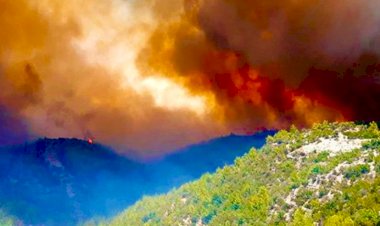 Alman Turistler Yangın Ülkelerinde Sorunsuz Tatil Yapıyor