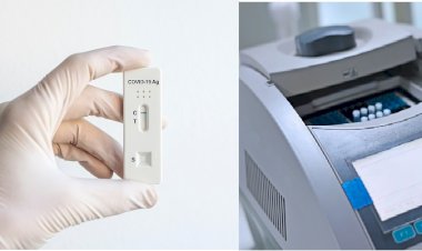 WTTC, Turizme Zarar Veren Aşısızlara PCR Testi Ücretli Olsun