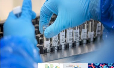 Antikor testine Dünyada İlk defa, İngiltere Halkıyla Başlayacak