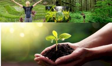 Seyahat Sektörünün sürdürülebilir Beş Önemli Faktörü