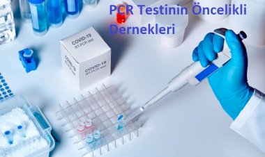 ETC Gezginlerin Sürdürülebilir Davranışı COVID-19'dan Etkilenmiyor