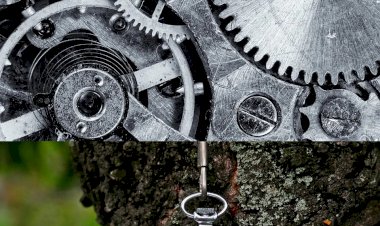 Çoğu Seyahat Acentesi Hala Kısa Süreli Çalışıyor