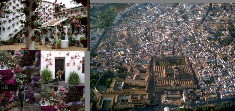 Turizm Mevsimine İspanya’da Çiçekli Festival