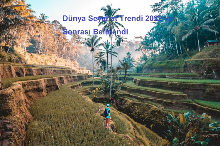 Dünya Seyahat Trendi 2022 ve Sonrası Belirlendi